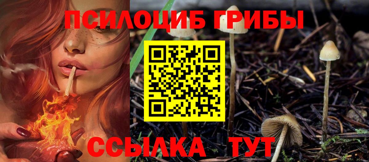 Урус-Мартан  Галлюциногенные грибы мицелий  Галлюциногенные грибы Psilocybine cubensis  Вход с VPN 